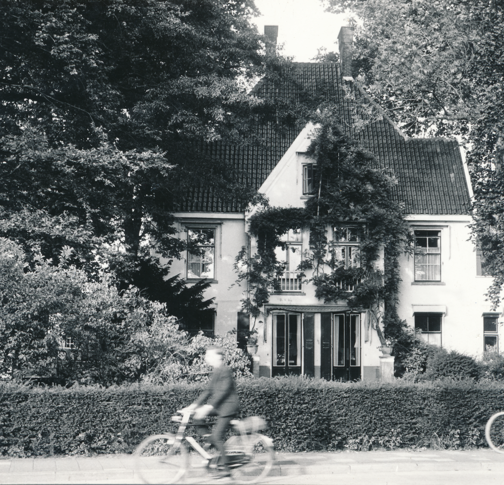 Bekijk detail van "Woningen Bornsestraat"