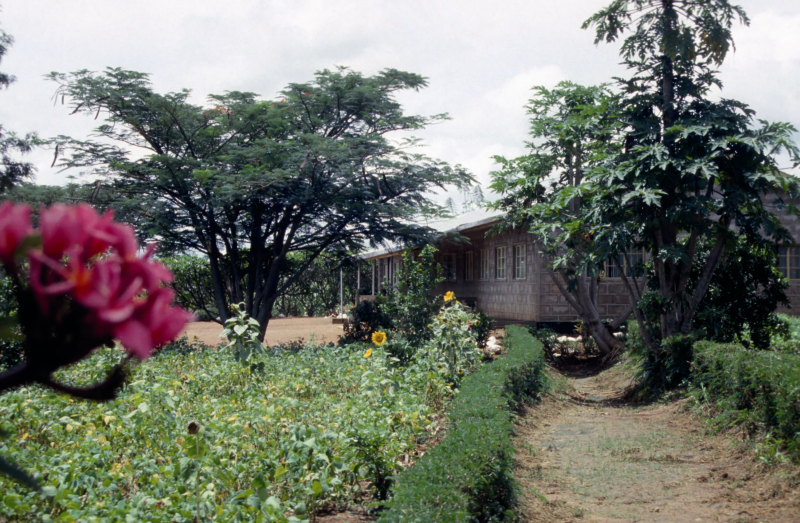 Bekijk detail van "Een klein paradijs in Kenia."