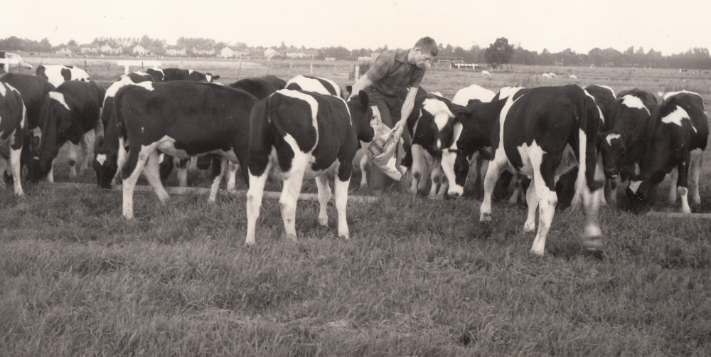 Bekijk detail van "Jan Maat: 'We zijn begonnen met elf koeien en een paar varkens'"