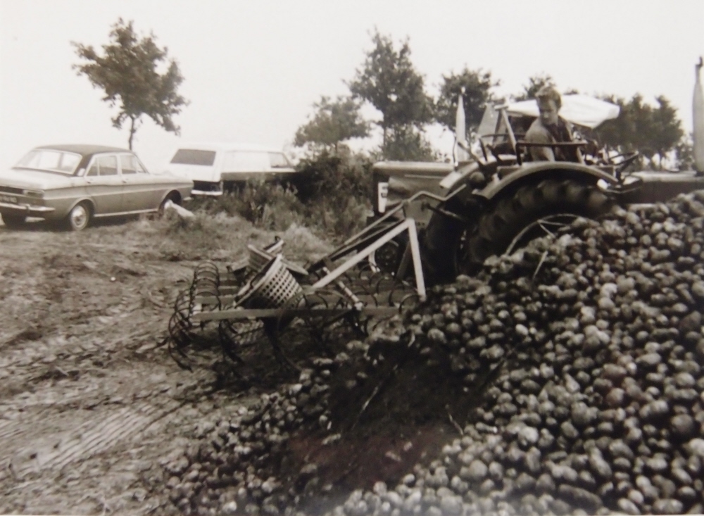 Bekijk detail van "Derk te Rietstap: 'Aardappelen waren de kurk waarop de veenkoloniën dreven'"