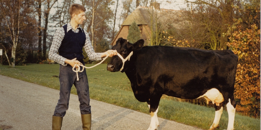 Bekijk detail van "Jan Maat: 'De KI wilde niks te maken hebben met die Holsteins'"