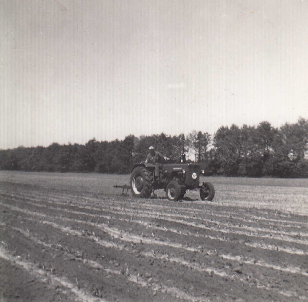 Bekijk detail van "Arie Ooms: 'Boeren in Overijssel waren redelijk vooruitstrevend'"