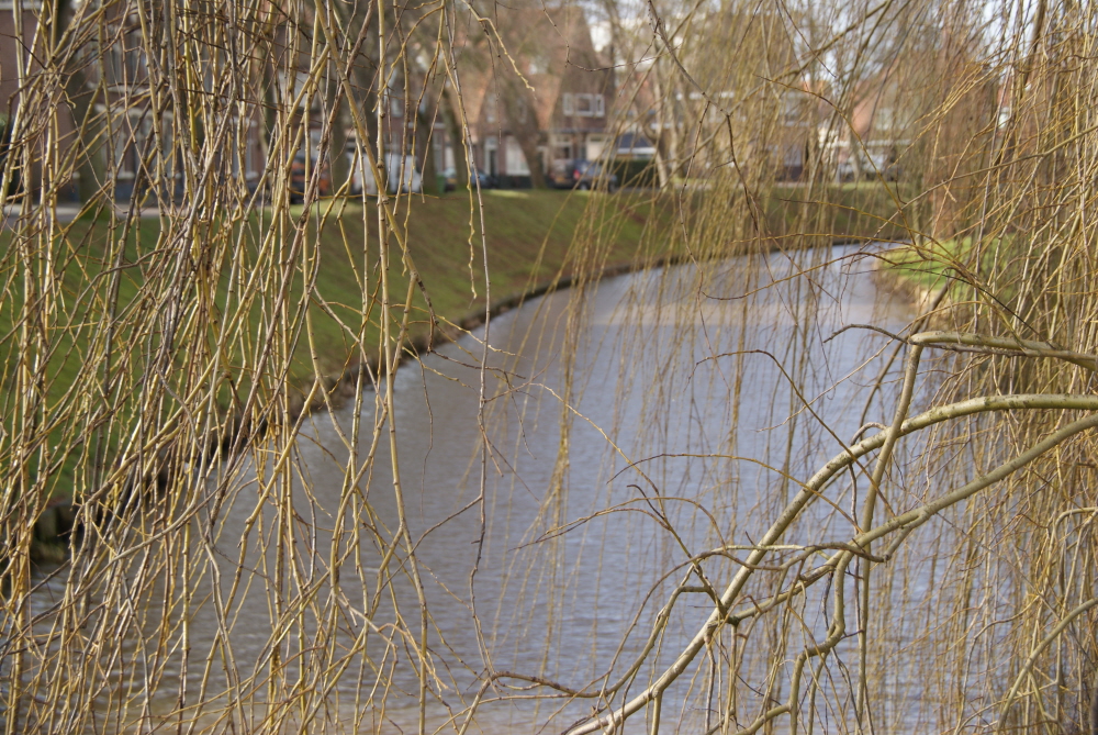 Bekijk detail van "Water in de stad"