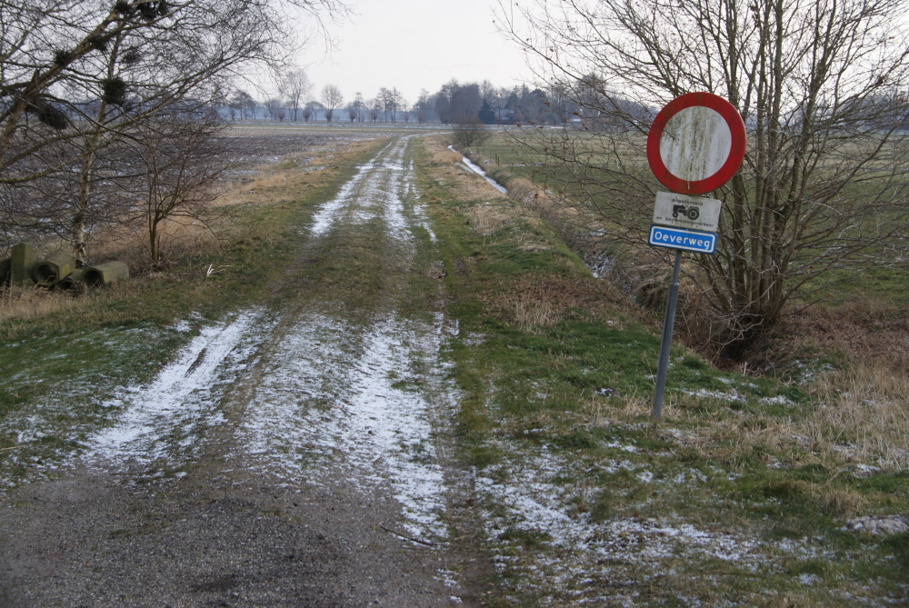 Bekijk detail van "De Oeverweg in Scheerwolde"