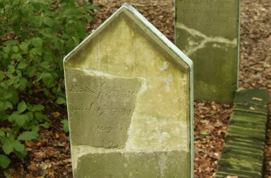 Bekijk detail van "Haerst. Het graf van Lepejou"