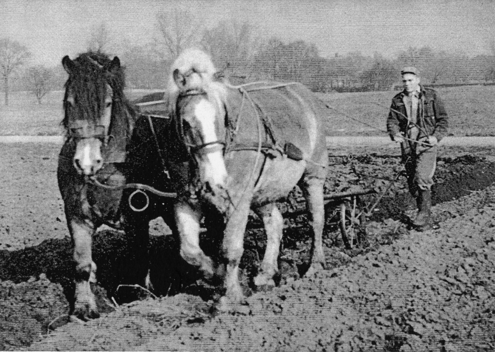 Bekijk detail van "Boerenwerk het jaar rond in Markelo"